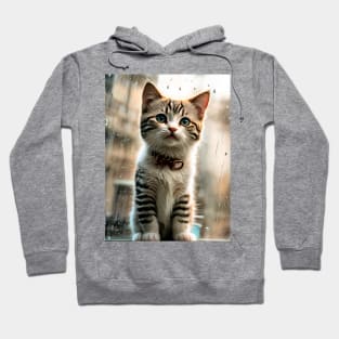 Cute Kittens Beautiful Cats Hoodie